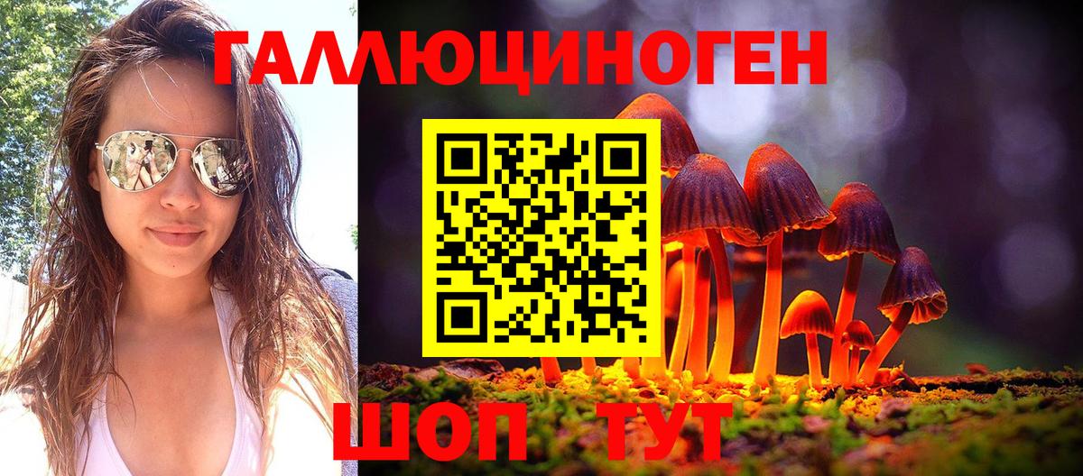 Галлюциногенные грибы Psilocybe  Вход с VPN  что такое   Щёлково 